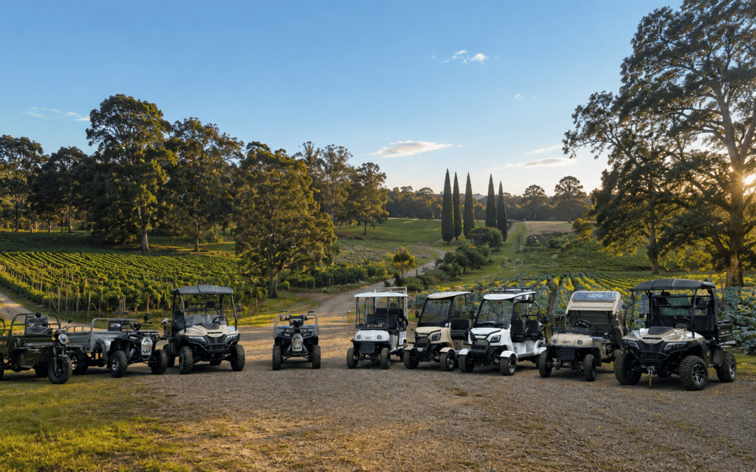 Why Upgrade Your ETEC Vehicle to a Lithium Battery?